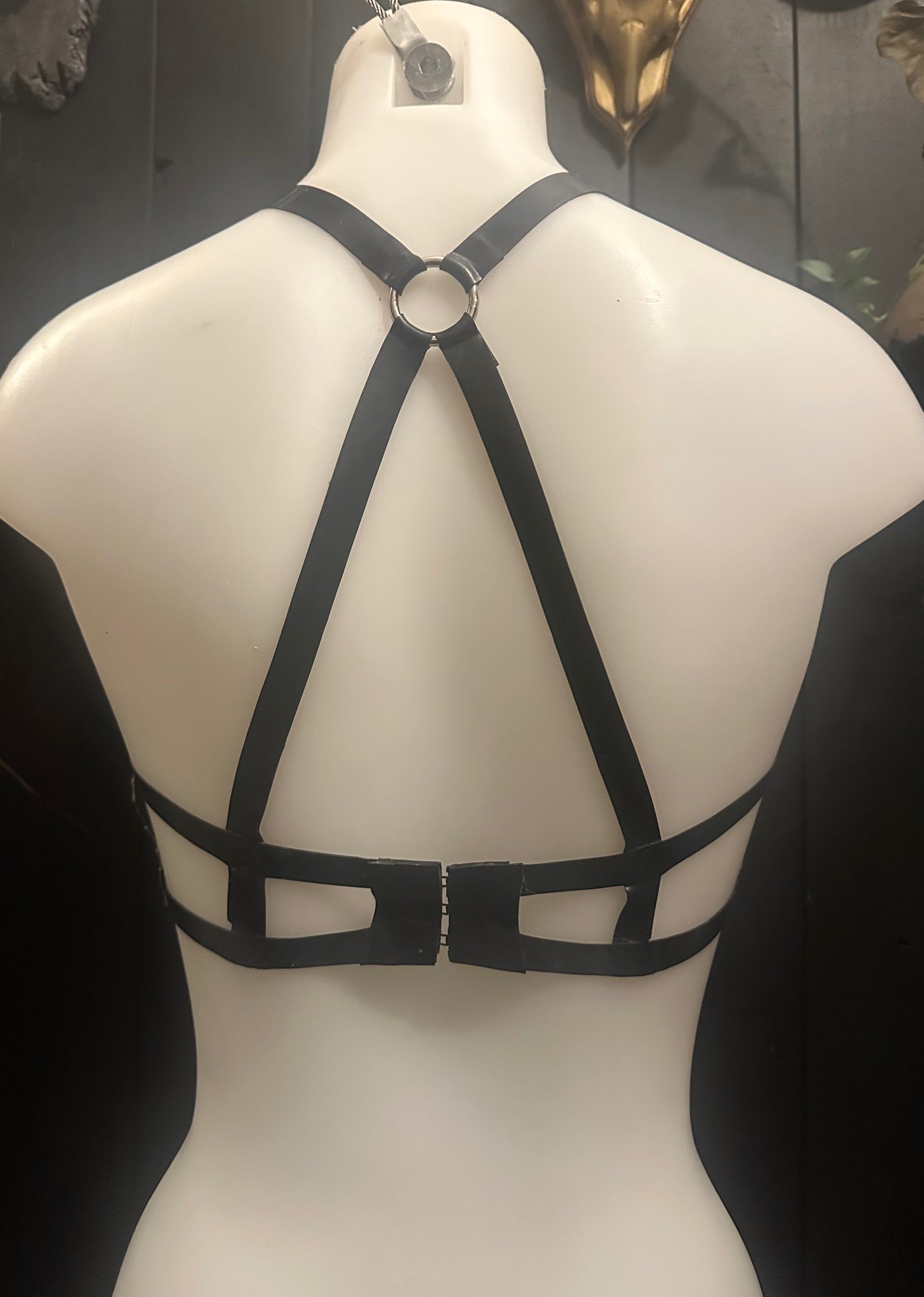 Close detail of the cage back strapping on the latex-lace Aurora bra