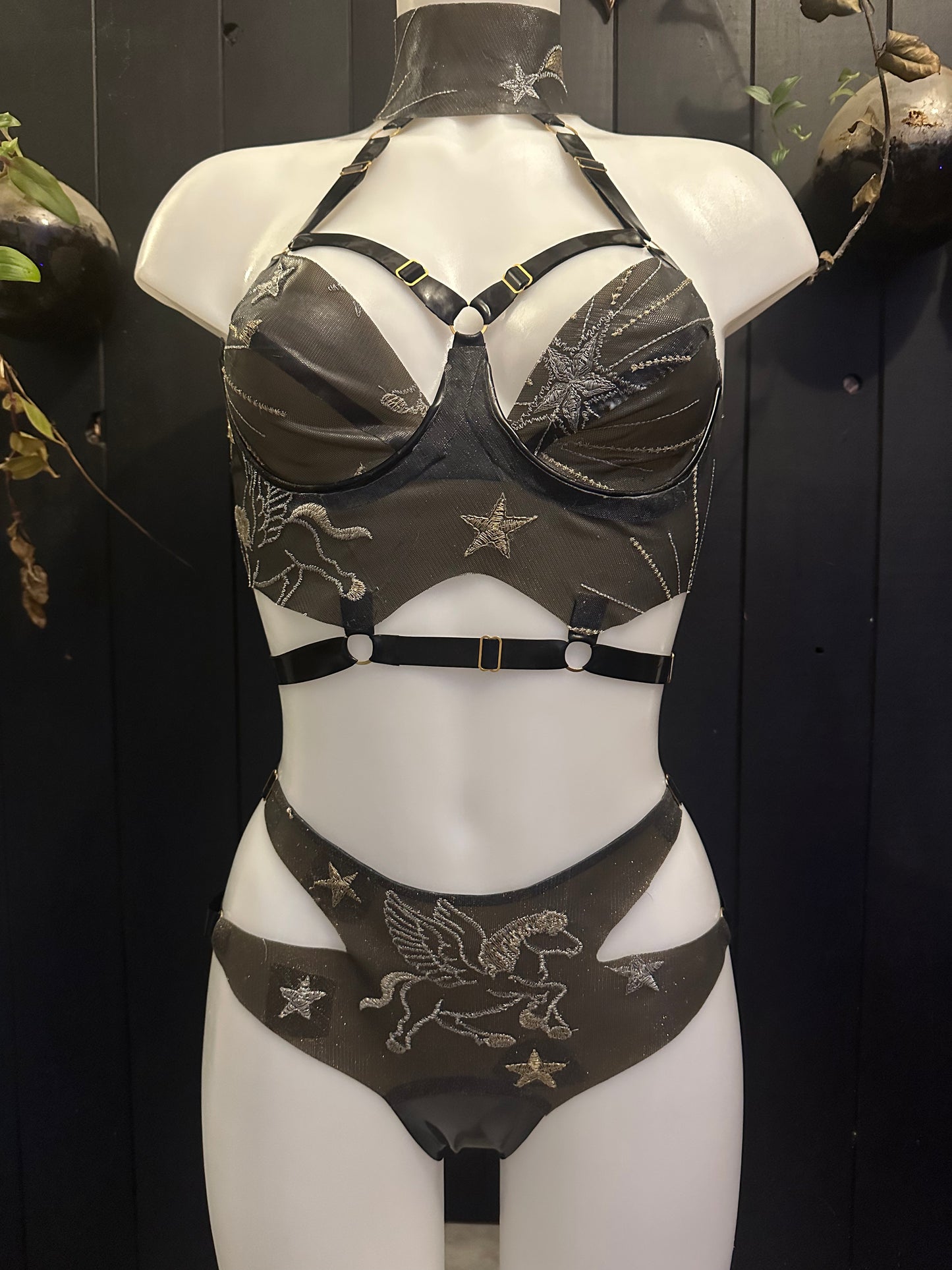 Celestial harness bra and split briefs sample