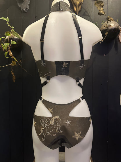 Celestial harness bra and split briefs sample